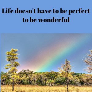 Life doesn't have to be perfect to be wonderful