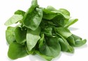 Spinach_2337460b