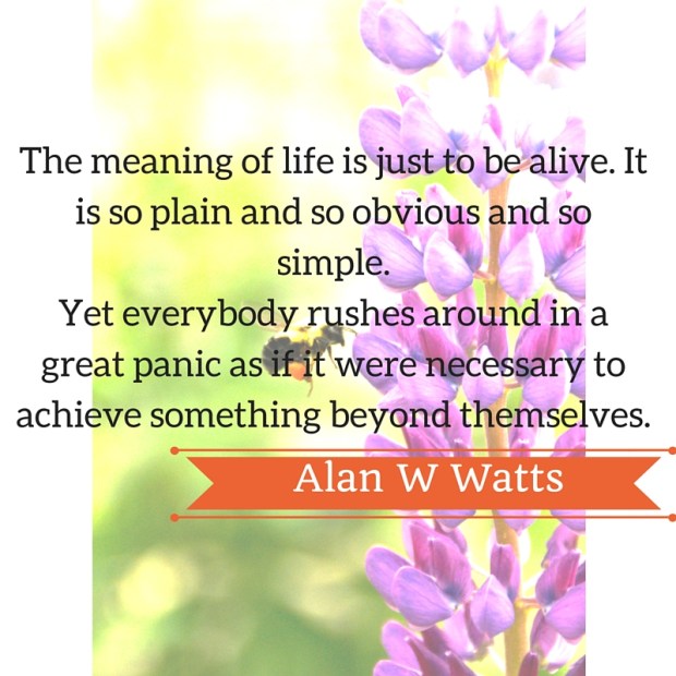 The meaning of life is just to be alive. It is so plain and so obvious and so simple.Yet everybody rushes around in a great panic as if it were necessary to achieve something beyond themselves.