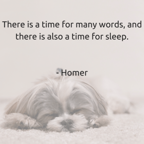 There is a time for many words, and there is also a time for sleep. Homer